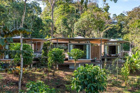 Studio Saxe weaves Caribbean Courtyard Villa into a Costa Rican jungle Houses In Costa Rica, Courtyard Villa, Internal Courtyard, Property Design, Hip Roof, Architectural Practice, Tropical House, Costa Rican, Beautiful Hotels