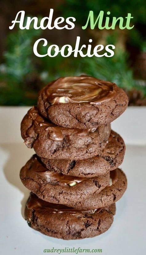 Andes Candies, Mint Chocolate Cookies, Andes Mint Cookies, Andes Mint Chocolate, Chocolate Mint Cookies, Chewy Chocolate Cookies, Andes Mint, Chocolate Cookie Dough, Chocolate Crinkle Cookies