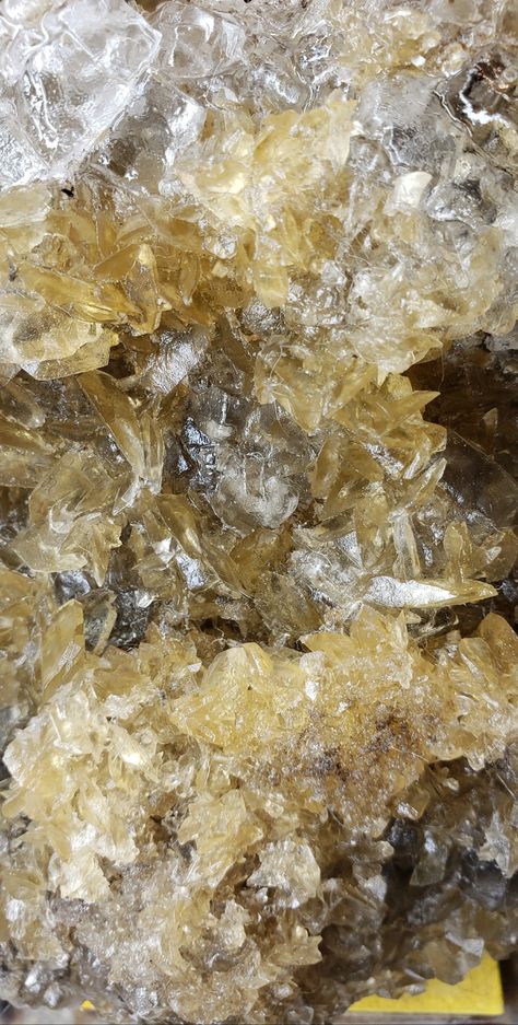 Golden Selenite On Halite From Peru Magical Nature, Raw Crystals, Beautiful Crystals, History Of The World, Minerals And Gemstones, Quartz Crystals, Mineral Specimen, Rocks And Minerals, Quartz Crystal