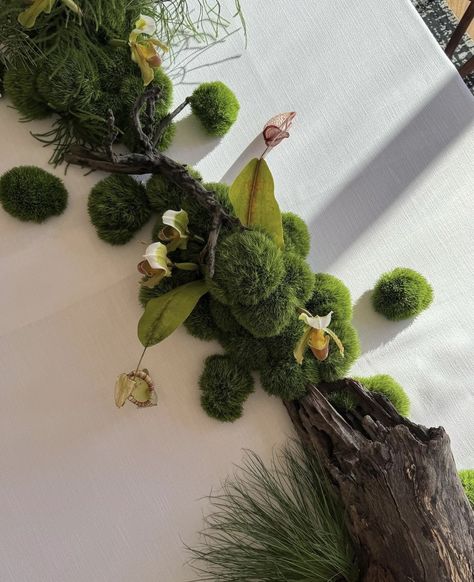 Forest Installation, Green Dianthus, Desert Display, Supermarket Flowers, Tableware Display, Craft Booth Design, Moss Wedding, David Morris, Forest Decor