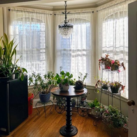 And from Montclair, NJ appears this lovely photo of Grecian Panels in a plant-filled bay window. #oldhouselove #curtains #oldhousestyle #houseandhome #cornerofmyhome #lacecurtains #cooperlace #cottagelace @cooperlace1 Bay Window Kitchen Decorating Ideas, Bay Window Bedroom Curtains, Window Treatments Arched Windows, Bay Window Ideas Curtains, Witches Hut, Bay Window Decorating Ideas, Victorian Bay Window, Bay Window Bedroom, Bay Window Decor