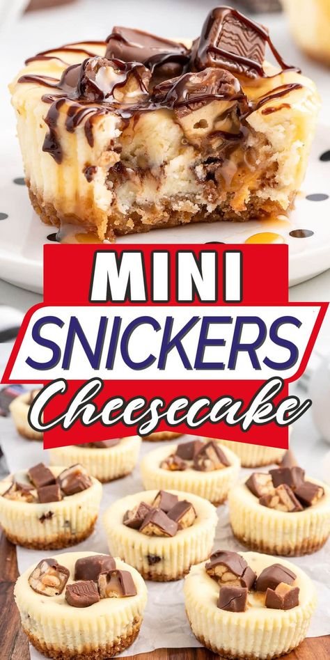 Mini Snickers Cheesecake, Skor Cheesecake Recipes, Snickers Cheesecake Bars, Cheesecake With Graham Cracker Crust, Snicker Cheesecake, Snickers Cheesecake Apples, Snicker Dessert Recipes, Candy Cheesecake, Snickers Cheesecake Recipe