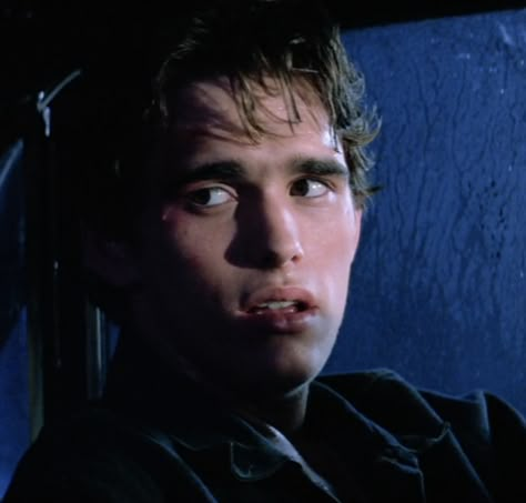 Matt Dillon The Outsiders, C Thomas Howell, Young Matt Dillon, Thomas Howell, The Outsiders Cast, Outsiders Movie, The Outsiders Greasers, 80s Actors, Dallas Winston