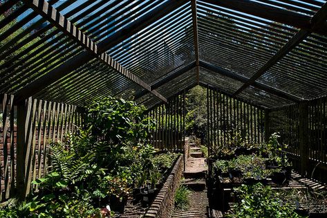 lathe house | Inside Lath House Shadows | Flickr - Photo Sharing! Lath House, Jedi Temple, Orchid House, Shade House, House Details, Garden Images, Brick Tiles, House Inside, Black Hills