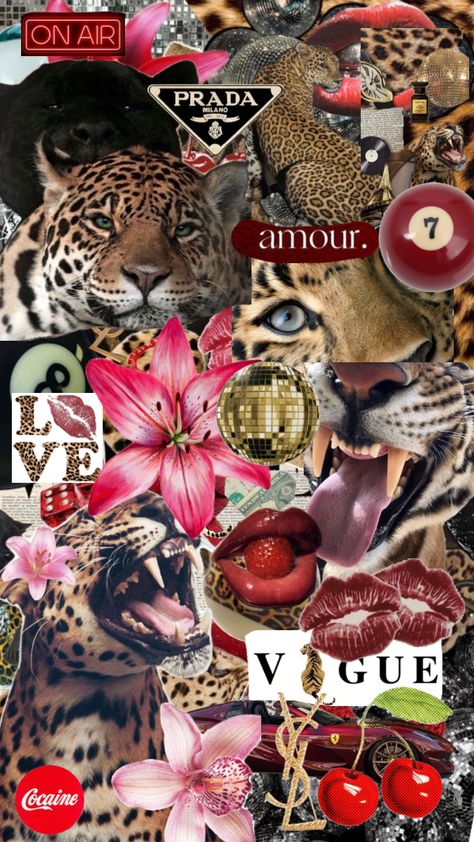 Glamour Wallpaper Aesthetic, Glamour Aesthetic Leopard, Glamour Wallpaper Iphone, Leapord Print 2000s Wallpaper, Wallpaper Iphone Leopard, Cheetah Wallpaper Aesthetic, Cheetah Wallpaper Iphone, Glamour Aesthetic Wallpaper, Cheetah Aesthetic Wallpaper