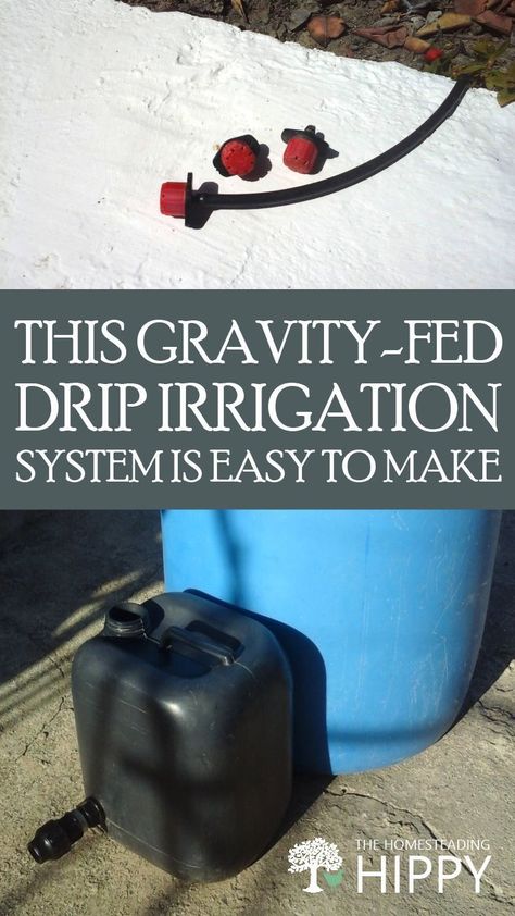 Why spend a ton of money on complicated drip irrigation systems, when you can make your own out of spare parts? #DIY #irrigation #farming #homestading #gardening Drip Line Irrigation, Drip Irrigation System Design, Diy Irrigation, Drip Watering System, Irrigation System Diy, Water Irrigation System, Irrigation Diy, Drip Hose, Drip Irrigation Diy