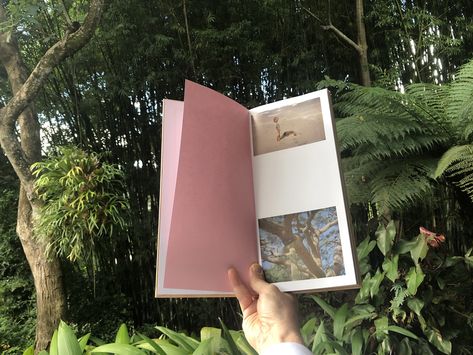 Delta by @hannahmodigh in méditation in the réserve naturelle de Araras (Rio) Limited Édition 500 copies with a signed c print #happypublisher - https://editionsbessard.com/non-classe/delta-by-hannahmodigh-in-meditation-in-the-reserve-naturelle-de-araras-rio-limited-edition-500-copies-with-a-signed-c-print-happypublisher/ Hannah Modigh, Limited Editions, Meditation, It Works, Limited Edition, Photographer, Signs, Design