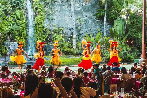 The origins of the Hawaiian luau, luaus and luau foods of today and tips on attending a luau in Hawaii. Oahu Luau, Maui Luau, Oahu Waikiki, Hawaii Itinerary, Maui Resorts, Honolulu Waikiki, Hawaii Travel Guide, Waikiki Hawaii, Honolulu Oahu