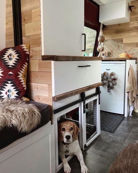 Dog Crate Ideas, Best Campervan, Bus Ideas, Caravan Renovation, Crate Ideas, Van Conversion Interior, Caravan Interior, Campervan Life, Build A Camper Van