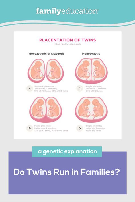 How to have twins and the chances of naturally getting pregnant with multiples does have to do with genetics in many cases. Find out the science behind the role of genetics and how they affect having fraternal or identical twins here. #twins #IVF #pregnancy #genetics Digital Twin Infographic, Ivf Twins, Types Of Twins, How To Conceive Twins, Usg Pregnancy Twins, Preimplantation Genetic Testing, Twin Pregnancy Symptoms, Birth Order, Slim Diet