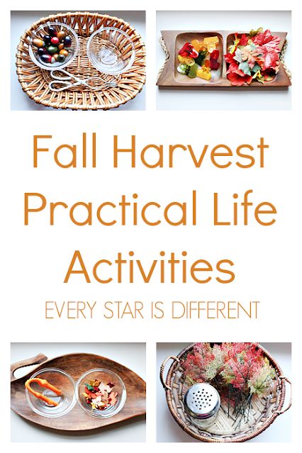 Thanksgiving Practical Life Montessori, Fall Life Skills Activities, Fall Montessori Activities For Preschool, Montessori Activities For Kindergarten, Harvest Provocations, Toddler Activities For Fall, Reggio Fall Activities, Fall Invitation To Create, Harvest Montessori Activities