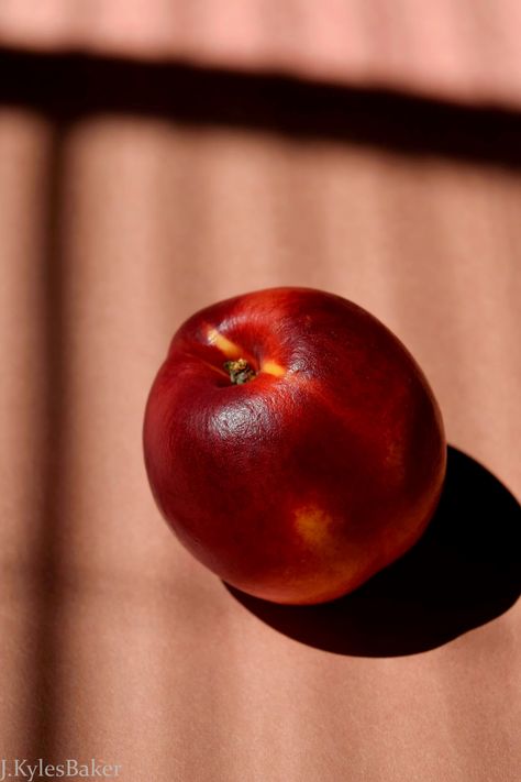 A nectarine on peach paper with vertical and horizontal shadows. Still Life With Fruit Photography, Nectarine Fruit, All Seeing, Still Life Fruit, Fruit Photography, Nectarine, Delicious Fruit, Still Life Photography, Light And Shadow