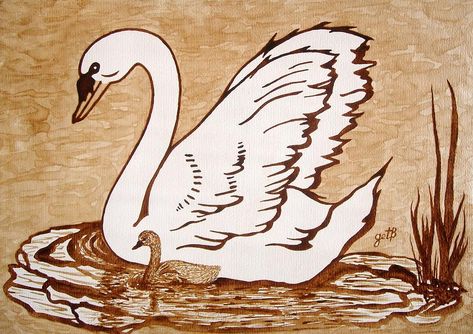 Coffee Paintings, Coffee Art Painting, Swan Jewelry, Swan Painting, Coffee Artwork, Coffee Latte Art, Coffee Painting, Disney Art Drawings, Bird Coloring Pages