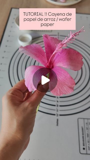 Laura Reposteria | TUTORIAL!! Flor cayena de papel de arroz o wafer paper.

Visita nuestro sitio web www.laurareposteria.com y descubre todas las clases... | Instagram Wafer Paper Flowers Tutorial, Wafer Flowers, Wafer Paper Tutorial, Wafer Paper Flowers, Instagram Tutorial, Wafer Paper, Paper Flower Tutorial, Flower Cake, Paper Flowers