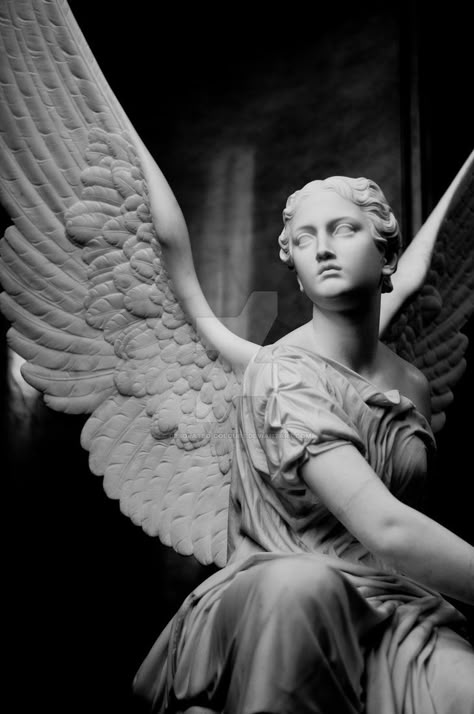 Angel Sculpture Art, Angel Statues Sculpture, Fantasy Angel, Ancient Greek Sculpture, Statue Tattoo, Roman Statue, Greek Statues, Angel Statue, Religious Tattoos