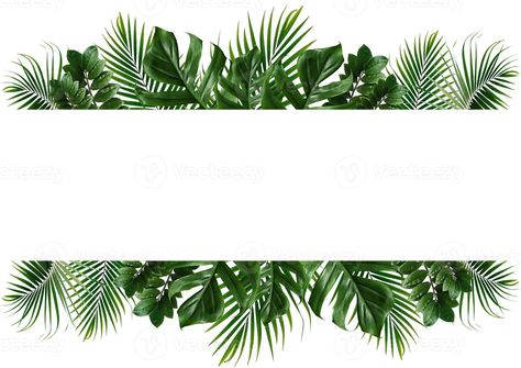 Baby Party Favors, Tropical Frames, Green Leaf Background, Boys First Birthday Party Ideas, Deco Jungle, Palm Branch, Wallpaper Seamless, Palm Leaf Wallpaper, Leaf Frame