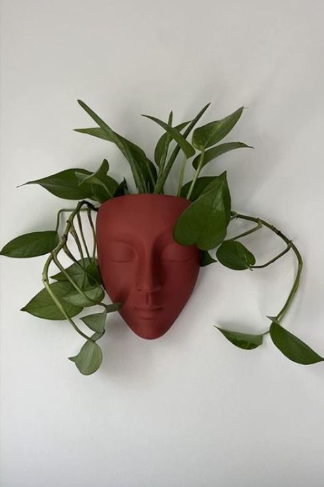 Head Plant Pot, Face Pots, Red Succulents, Face Wall, Face Planters, Dream Apartment Decor, Clay Faces, Head Planters, Unique Planter