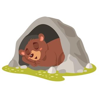 Bear In Cave Cartoon Vectors, Photos and PSD files | Free Download Bear Cave, Bear Sleeping Drawing, Sleeping Bear Cartoon, Sleeping Bear Illustration, Hibernating Bear Illustration, Bear Cave Illustration, Cave Images, Funny Bears, Bear Cartoon