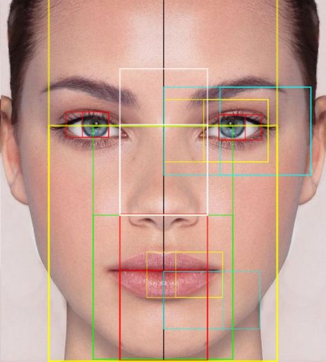 The Golden Ratio Face Facial Proportions, Face Proportions, Head Anatomy, Facial Anatomy, Face Anatomy, 얼굴 드로잉, Facial Aesthetics, Face Drawing Reference, 얼굴 그리기