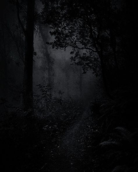 Dark Infj, Dark Faerie Aesthetic, Gothic Place, Faerie Aesthetic, Darkest Academia, Werewolf Aesthetic, Forest Dark, Dark Forest Aesthetic, Foggy Forest