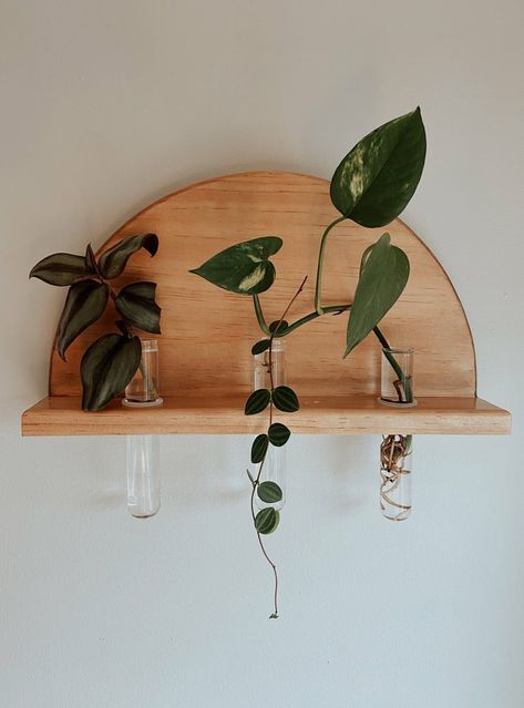 Super cute propagation station! Propagation Station, Plant Pot Diy, Wood Art Projects, Pot Hanger, Scrap Wood Projects, Plant Cuttings, Plant Wall, Mid Century Modern Design, Indoor Planters