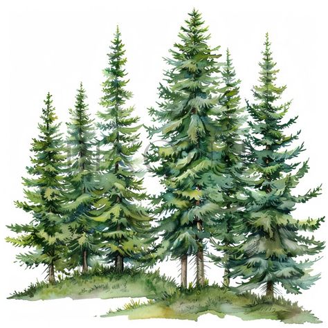 This Clip Art & Image Files item is sold by PixQuik. Ships from Switzerland. Listed on 01 Jun, 2024 Trees Clipart, Collage Images, Fir Trees, Tree Clipart, Tree Images, Diy Watercolor, Fir Tree, Tree Leaves, Christmas Cards To Make