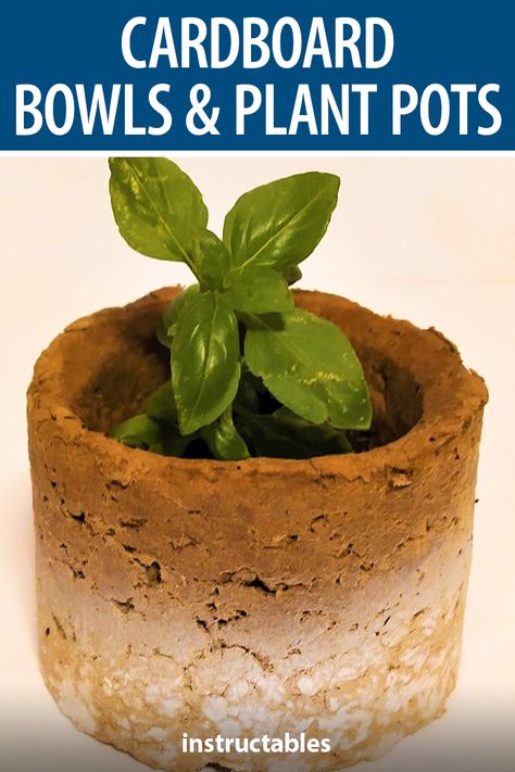 Cardboard Bowl Diy, Cardboard Planters Diy, Cardboard Forts, Cardboard Box Diy, Apartment Gardening, Thrift Ideas, Diy Planters Outdoor, Hard Rolls, Cardboard Recycling