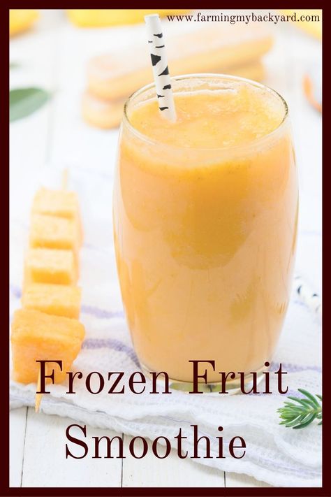 Smoothies With Frozen Fruit Recipes, Tropical Fruit Smoothie Recipes, Vegetable Fruit Smoothie Recipes, Baritastic Recipes, Frozen Smoothie Recipes, Frozen Fruit Smoothie Recipes, Coconut Water Smoothie Recipes, Strawberry Watermelon Smoothie, Ginger Smoothie Recipes