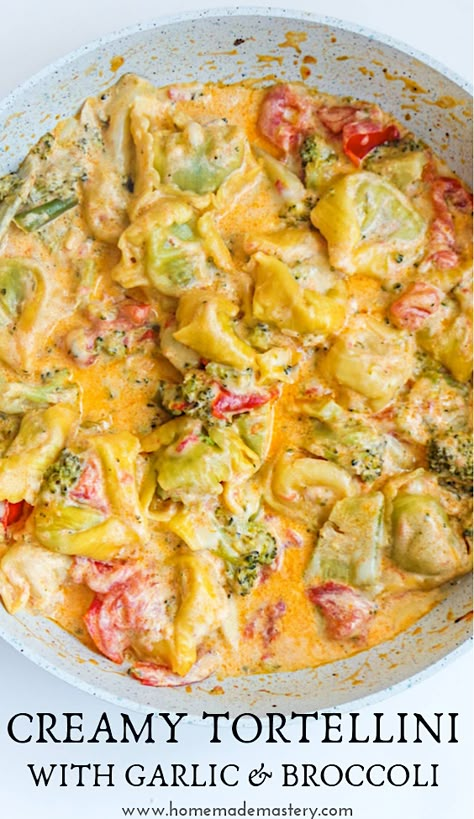 Tortellini And Broccoli, Creamy Broccoli Tortellini, Chicken Tortolini Recipe, Broccoli Tortellini Recipes, Tortellini Broccoli Recipes, Tortellini And Broccoli Recipes, Tortellini Recipes Vegetarian, Broccoli And Tortellini, Tortolini Recipe