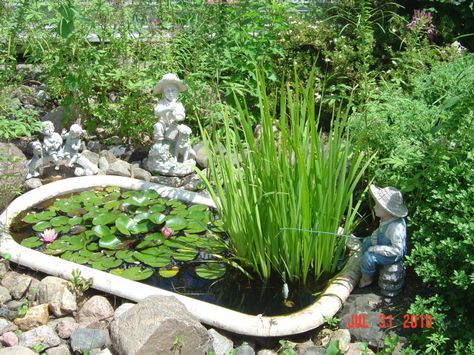 This is exactly the look I am going for on the bath tub pond that we have going at Big Star Farms Repurposed Bathtub, Garden Tub Decorating, Garden Bathtub, Container Water Gardens, Small Pond, Pond Water Features, Pond Fountains, Garden Tub, Garden Help