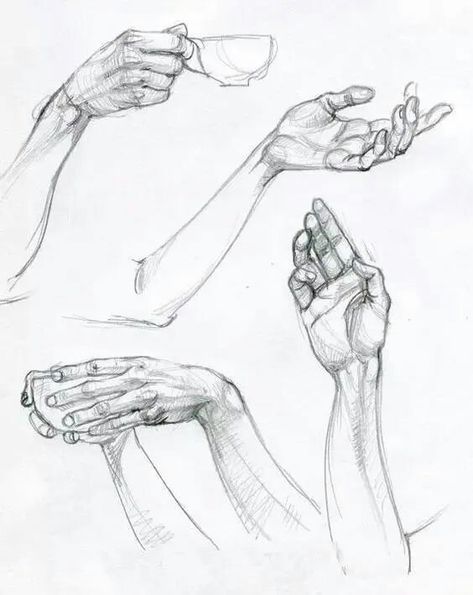 Drawing Ideas Hands, Hand Gesture Drawing, Gesture Drawing Poses, Hands Design, Drawing Hands, Hand Drawing Reference, Human Figure Drawing, Anatomy Sketches, Hand Reference