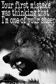 Not a sheep ... not a wolf either ... I'm a sheepdog! (h/t Colonel Dave Grossman!) Wolf Quote, Lone Wolf Quotes, Lion Quotes, Wolf Stuff, Wolf Quotes, Wolf Spirit Animal, She Wolf, Wolf Spirit, Warrior Quotes