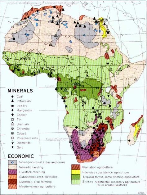 Economic map of Africa Economic Map, Africa Infographic, Neolithic Revolution, Africa Craft, All About Africa, Map Of Africa, Catholic Beliefs, Physical Geography, Economic Activity