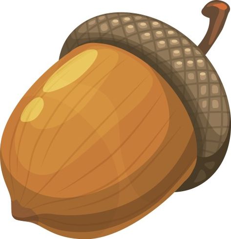 Acorn nuts Royalty Free Vector Image - VectorStock Acorn Vector, Nuts Vector, Acorn Illustration, Fall Cocktails, Graphic Artist, Kids Crafts, Vector Graphics, Free Vector Images, Png Images