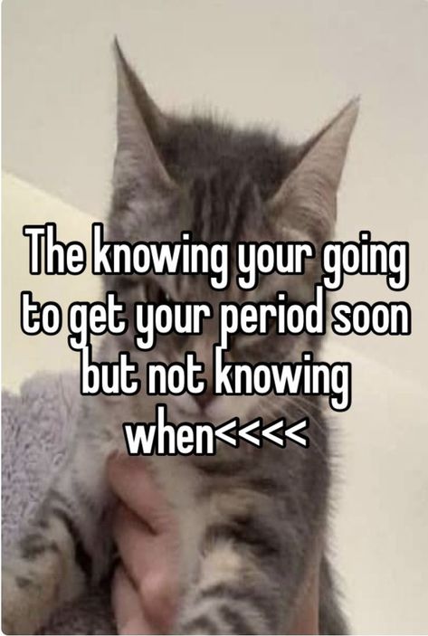 Period Relatable, Period Whisper, Girl Relatable, Night Whispers, Whisper Love, Whisper Girl, Period Humor, Crazy Funny Pictures, Relatable Whispers