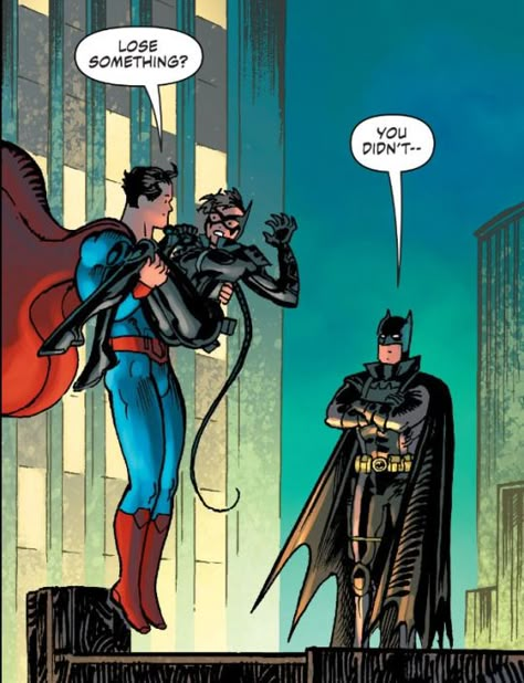 Oh, How I love Batman & Robin Catwoman Comics, Catwoman Comic, Superman X, Batman Catwoman, Bat Cat, Univers Dc, Batman And Catwoman, Batman Funny, Selina Kyle