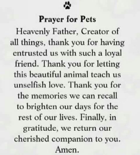 Dog Heaven Quotes, Pet Poems, Dog Poems, Dog Quotes Love, Heaven Quotes, Dog Heaven, Pet Remembrance, Thank You Lord, Simplify Your Life