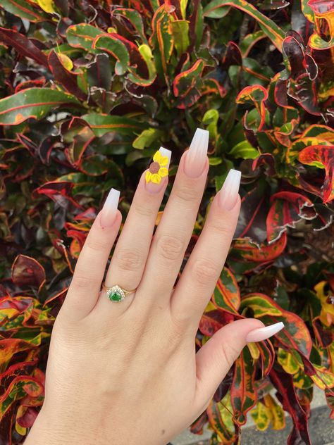 Sunflower Acrylic Nails, Nails Ombre French, Ombré French Tip, Nails Sunflower, Nail Designs Ombre, Yellow French Tip, Ombré French, Marvel Nails, Ombre French Nails