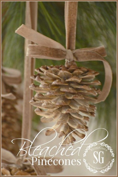 How to Make GORGEOUS Bleached Pinecones Pinecones Crafts, Pinecone Projects, Bleached Pinecones, Bleach Pinecones, Božićne Dekoracije, Stone Gable, Painted Pinecones, Diy Pinecone, Pinecone Ornaments