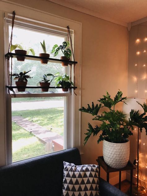 Hey there, fellow craft enthusiasts! Robert Kline here, your guide to all things handmade. Today, we're diving into the world of DIY home decor with a... Hanging Window Plant Shelf, Diy Window Shelf, Window Shelf For Plants, Pallet Deck Diy, Window Plant Shelf, Shelf Window, Indoor Plant Shelves, Nails Tools, Plant Diy