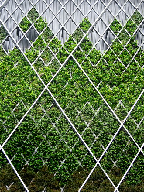 Vertical Garden by asiax89, via Flickr Green Facade, Modern Garden Design, Garden Architecture, Green Architecture, Facade Architecture, Living Wall, Facade Design, Green Roof, Plant Wall