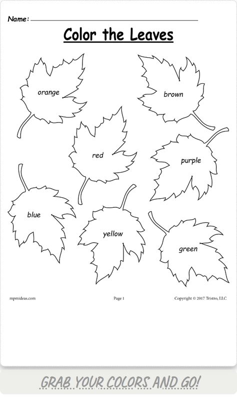 Fun fall leaf color worksheet for kids!  Learn & identify autumn colors. Fall Leaf Colors, Fun Worksheet, Leaf Identification, Fall Worksheets, Fun Worksheets For Kids, Autumn Leaf Color, Color Words, Worksheet For Kids, Fun Worksheets