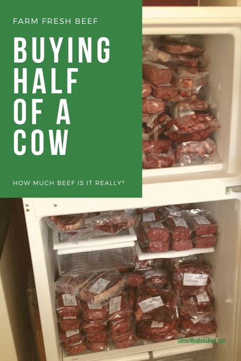 Buying half a cow. How much beef is it? - Clover Meadows Beef Beef Cuts Chart, Cow Meat, Homesteading Animals, Cuts Of Beef, Beef Cow, Freezer Food, Meat Processing, Meat Lover, Eat Beef