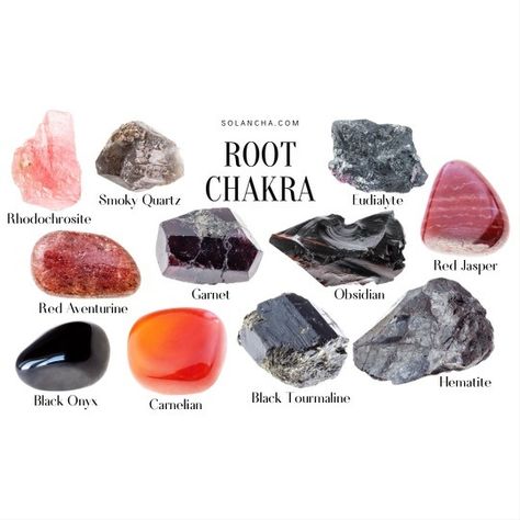 The Root Chakra, Muladhara Chakra, Root Chakra Stones, Chakra Affirmations, Chakra Yoga, Crystal Healing Stones, Les Chakras, Chakra Balancing, Energy Field