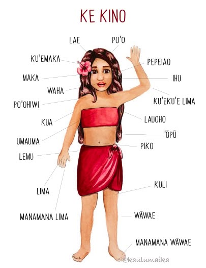 Hawaiian Language Learning, Olelo Hawaii, Hawaii Language, Hawaiian Words And Meanings, Hawaii Culture, Hawaiian Quotes, Hawaiian Words, Hawaiian Language, Hawaii Vibes