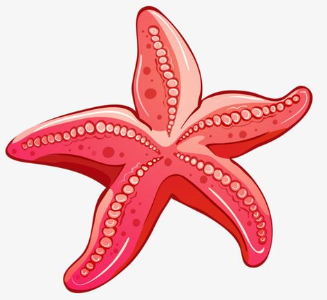 Starfish Clipart, Starfish Drawing, Cartoon Png Transparent, Octopus Coloring Page, Happy Birthday Png, Beach Clipart, Halloween Clips, Stella Marina, Seashell Painting