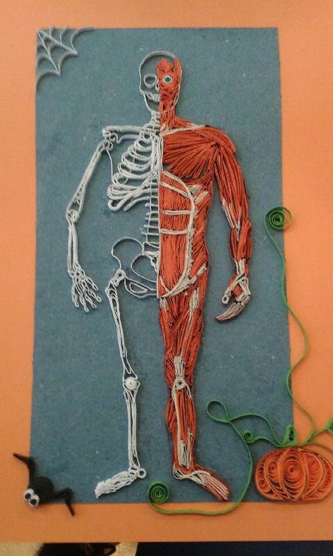 Quilling Spider, Muscular System Project, Skeletal System Project, Biology Models, Spider Human, Body Systems Project, Robot Project, Escuela Diy, Human Body Science