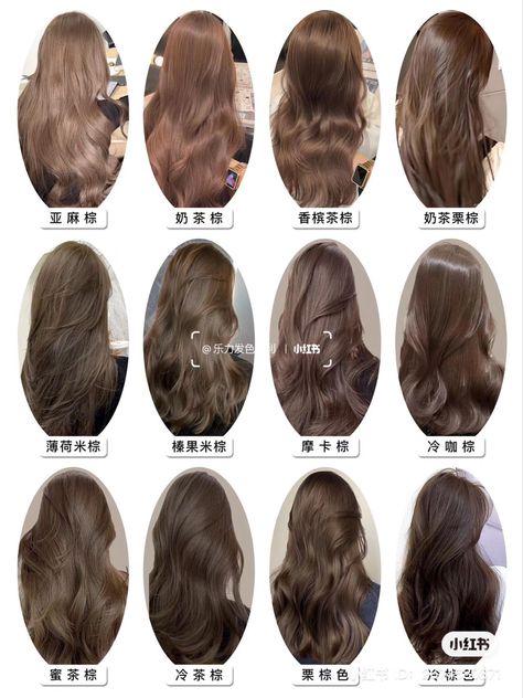 Neutral Skin, Neutral Skin Tone, Hair Color Asian, Korean Hair Color, Chestnut Hair Color, Brown Hair Looks, Cute Hair Colors, Layered Haircuts For Medium Hair, Brown Hair Inspo