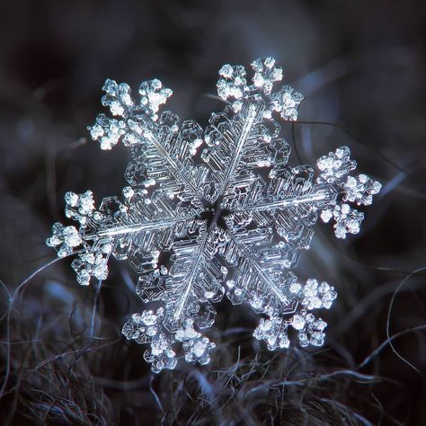 Macro photos of real snowflakes - Alexey Kljatov photography on Instagram #snowflakes #macro #crystals #decorations #pattern #aestetic #photos #real #snow #wallpaper #background #ice #christmas #photography #art Snowflake Photography, Foto Macro, Snowflake Images, Snowflakes Real, Snowflake Photos, Oc Pokemon, Snow Crystal, Winter Szenen, I Love Winter