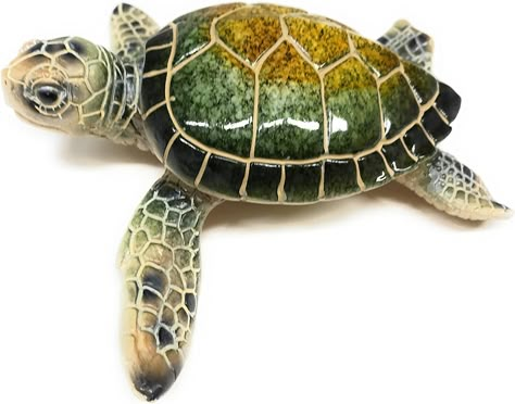 Green Tree Sea Turtle Resin Figurine, Indoor Outdoor Decor, 5.25 Inches Wide “Amazon and the Amazon logo are trademarks of Amazon.com, Inc. or its affiliates.” Turtle Painting Acrylic, Sea Turtle Cake, Sea Turtle Quilts, Sea Turtle Shell, Ceramic Turtle, Turtle Sculpture, Turtle Figurines, Green Sea Turtle, Turtle Painting